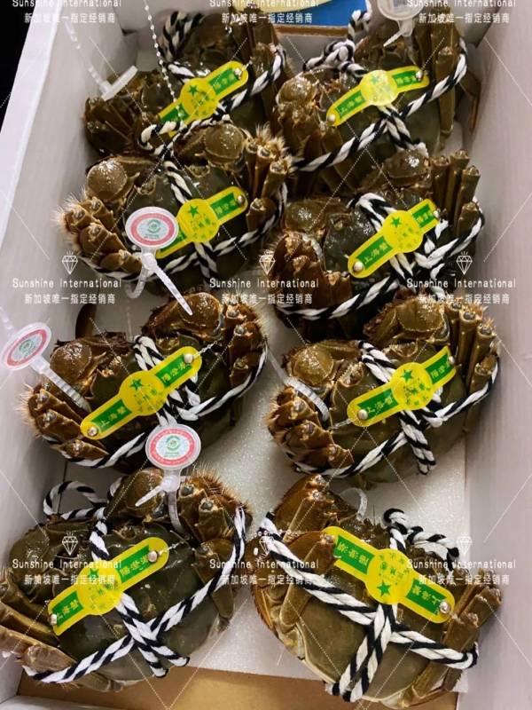 敢問肥蟹何處有,人人皆知陽澄湖！在新加坡也能吃到啦