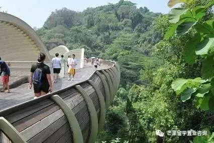 一網打盡，新加坡公園都有啥