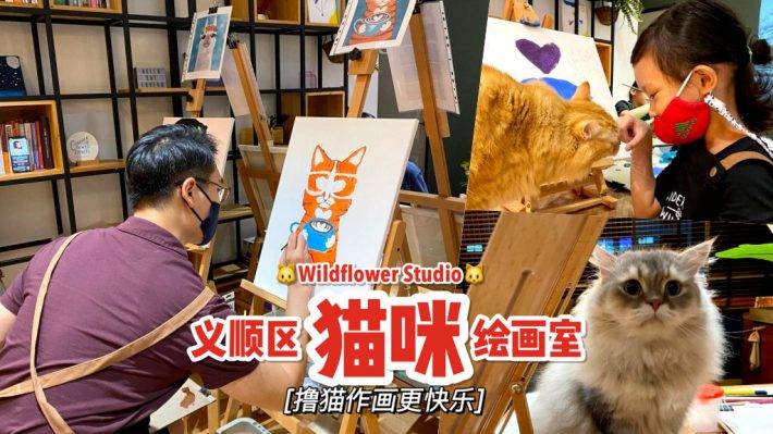 小众疗愈系活动🤩 义顺即兴艺术画室“Wildflower Studio”三只小猫陪你画🎨 释放压力尽情耍