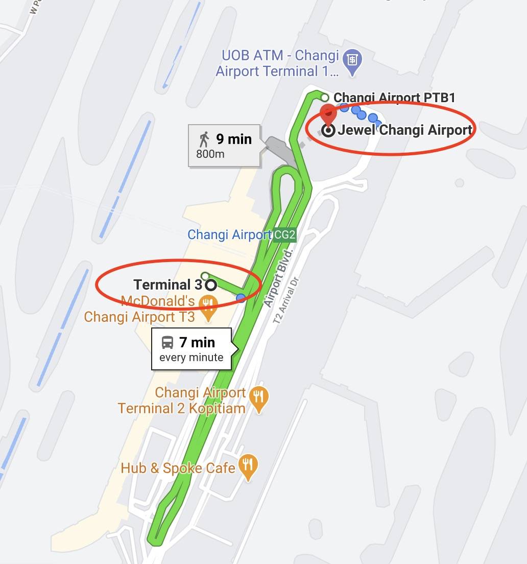 新加坡机场员工紧急检测!曝感染新冠后可能会出现这14种症状