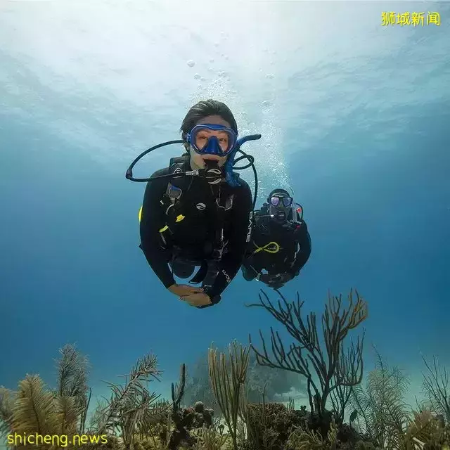 盘点新加坡超好玩的水上活动!即使不会游泳也可以体验~一起暴汗一起消暑