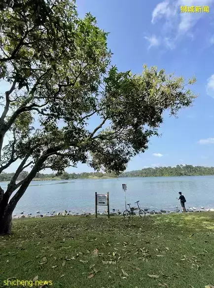 新加坡的“中央公園”突然火了！周圍房價要漲