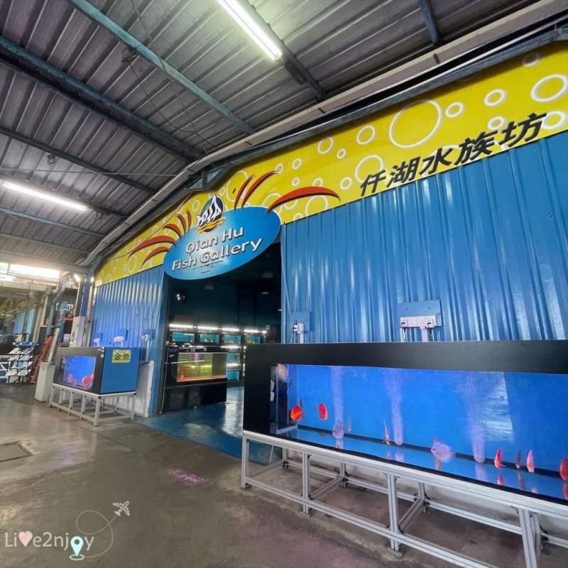 周末新玩法!新加坡仟湖魚場🐟 賞魚+魚療+搜魚體驗活動!免費入場、免費專程巴士載送