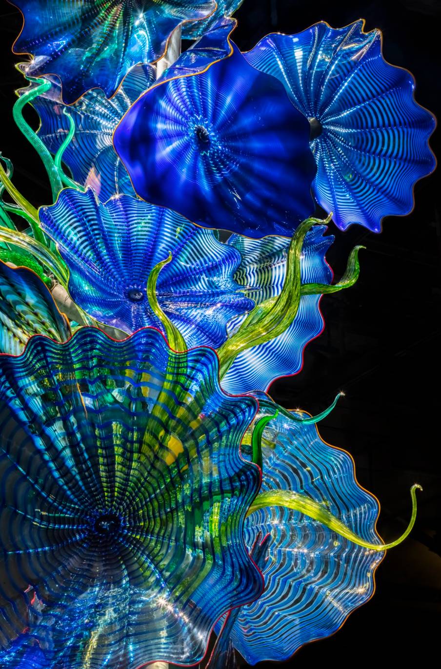 在美國、日本、法國都超火的玻璃花園搬來新加坡啦