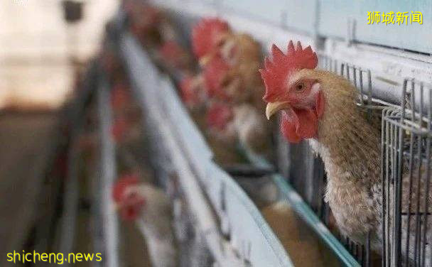 全球確診破700萬!2020,見證曆史的一年!