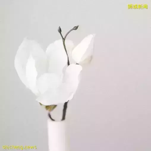 粉絲親曆回中國隔離全程記錄：住酒店住出“病”