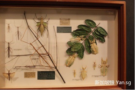 001OZGDMgy6KP9eTUlGe8&690