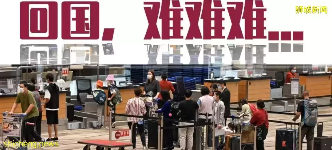 来新加坡一年半,发现妻子有了二胎!他在机场跪地磕头痛哭