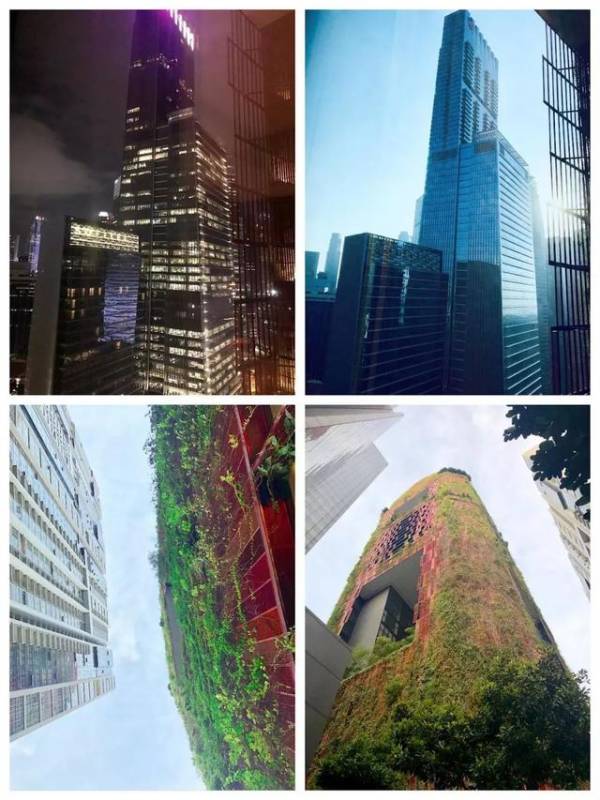 漫游狮城｜赤道附近的风，吹过亚洲大陆最南端（上）