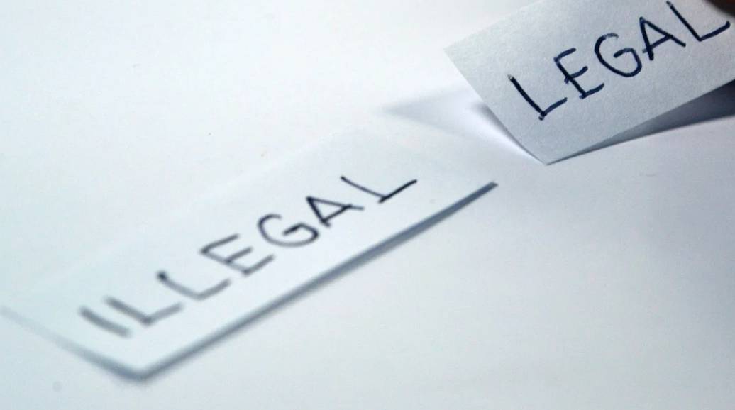 新加坡 養樂多除了原味，還有其他口味