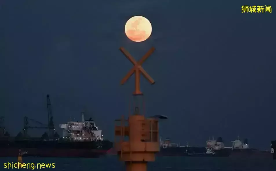 草莓月亮在新加坡刷屏,又是什麽新流量密碼