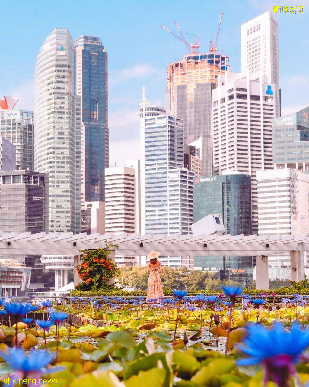 化身花仙子🧚‍♀新加坡9大花海打卡地🌷 天天鮮花盛放、美如仙境，出片率百分百