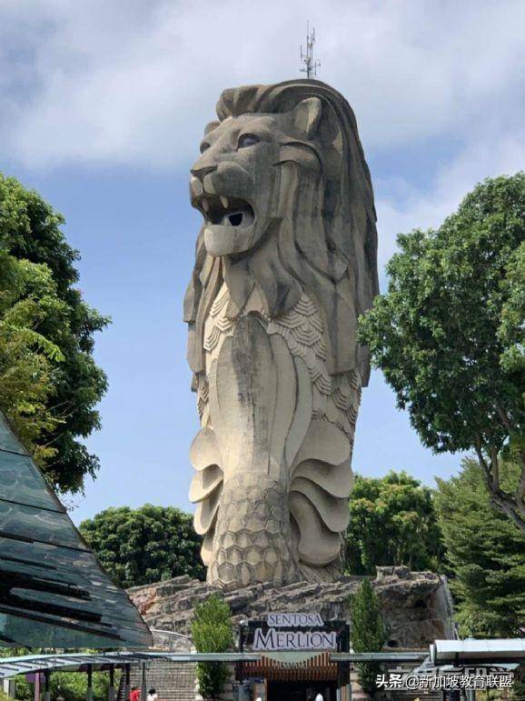 高考结束后如何申请新加坡留学？求解