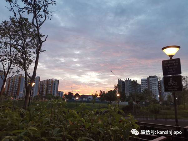 这五个关于新加坡的谜语，让大家来猜一猜