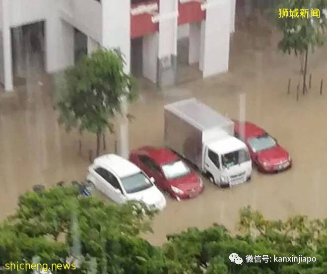 新加坡未来3月将频繁出现极端天气,史上最严重登革热情况或更严峻