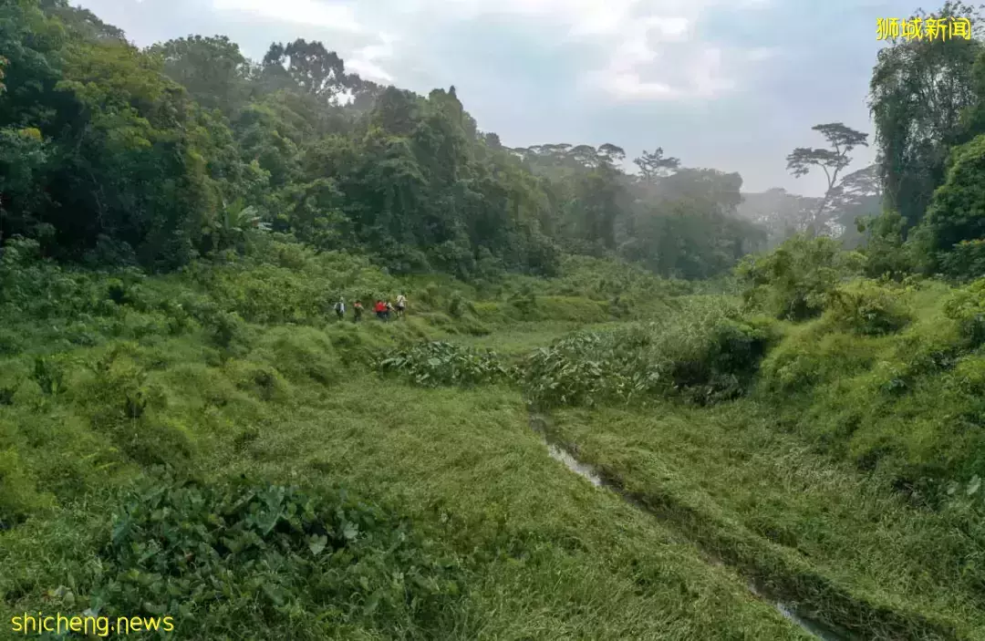 假期出遊 新加坡那些鮮爲人知的“寶藏”勝地