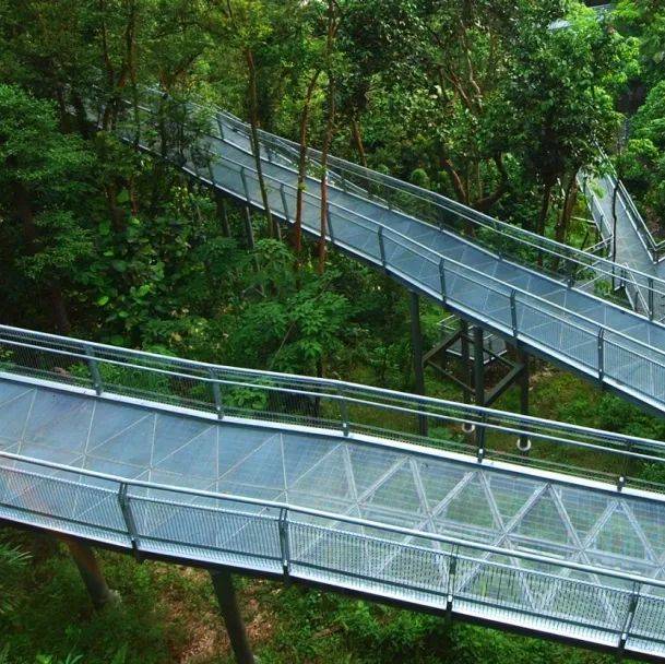 新加坡開放簽證！免隔離！這些小衆景點不可錯過