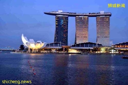 建工厂繁殖蚊子,新加坡每周释放500只蚊子,到底是想干嘛