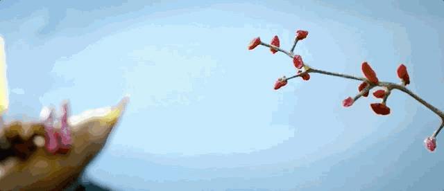 廁所協會會長?!臨床性學家?!美人魚?新加坡這些職業太奇葩啦