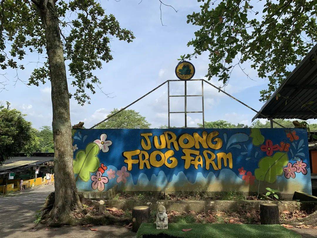 可使用【重新探索新加坡消費券】牧羊場、青蛙農場、雙溪布洛帶你走透透