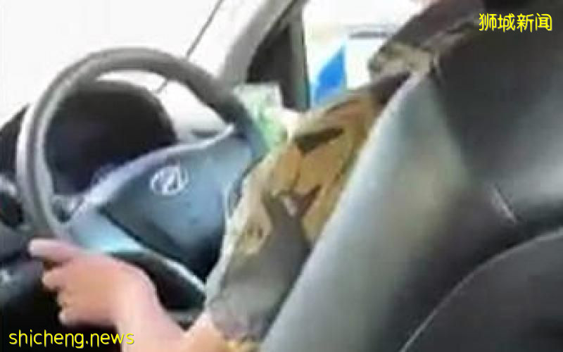 德士司机不断踩刹车 原来他边开车边玩手机