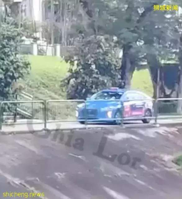 德士司機是路盲？被導航坑？新加坡德士司機開進公園連道驚呆路人