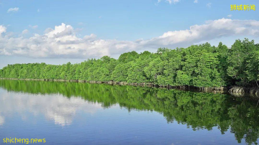 打破传统市区游,轻松逛新加坡两大后花园