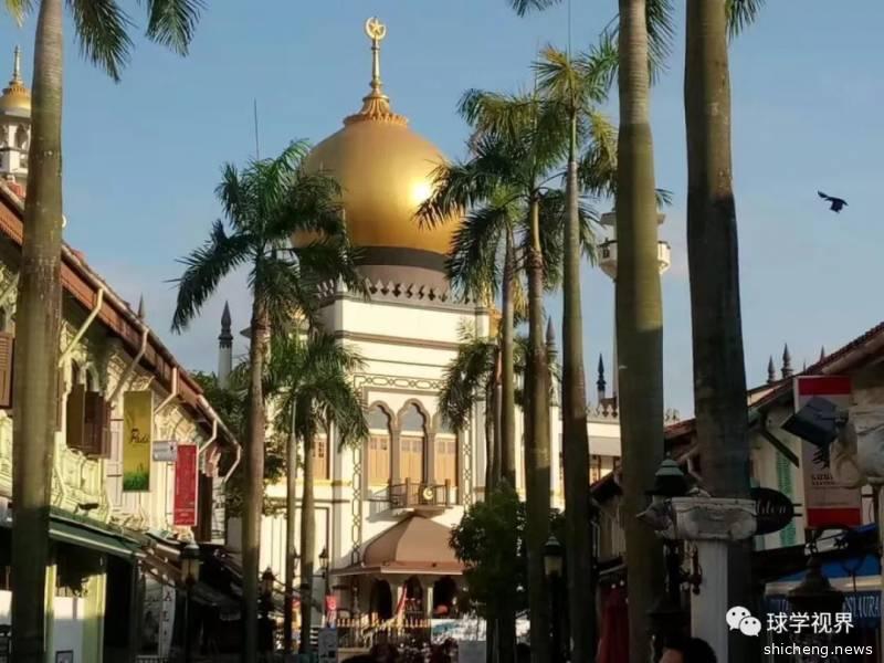 新加坡·一个全球最宜居城市的秘密