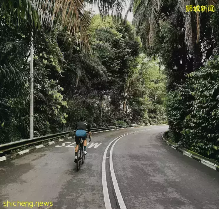 甩肉去！新加坡最美9条骑行路线