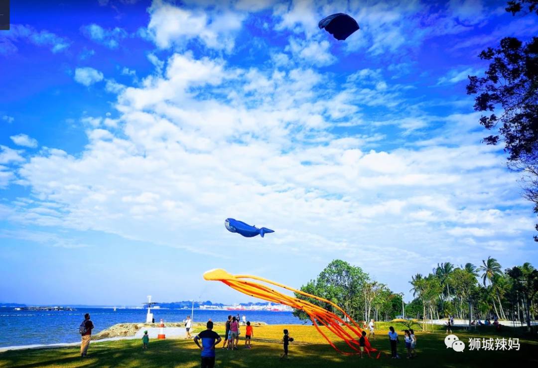 新加坡最好玩的海灘公園!趕海、騎馬、劃艇、樹籬迷宮、燒烤露營,超適合家庭出遊