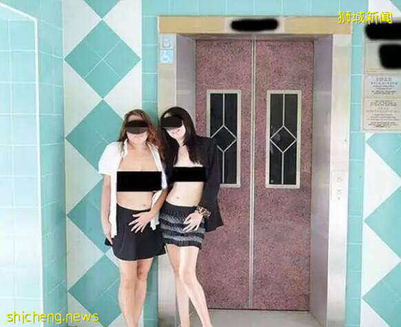 新加坡組屋變“客廳”？有點格局！養雞場、小叢林、毛片場