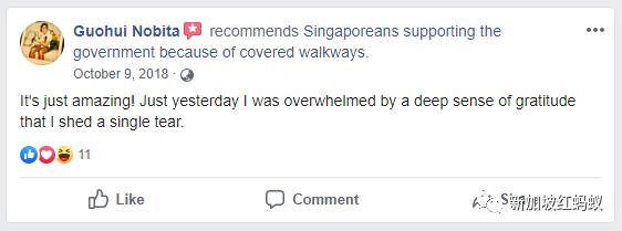 狮城最贴心的一道风景:无处不在的有盖走廊