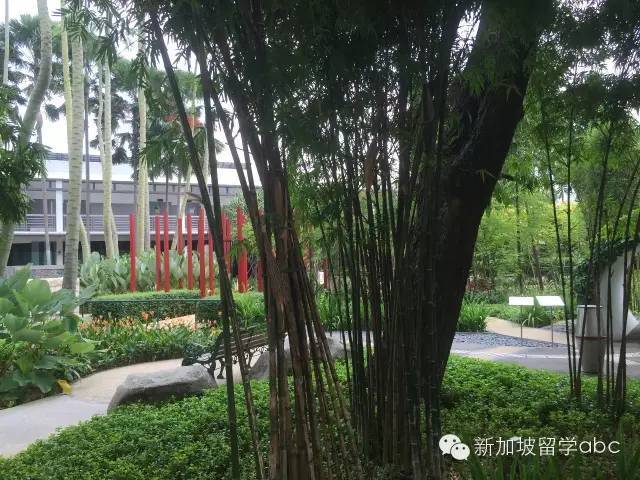 狮城留学——新加坡建设局学院2020年招生简章