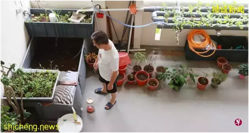 男子自费打造走廊“小农场” 当局指违安全隐患下令拆