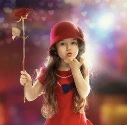 新加坡哪裏買花最劃算，最有創意？想表白，看這裏