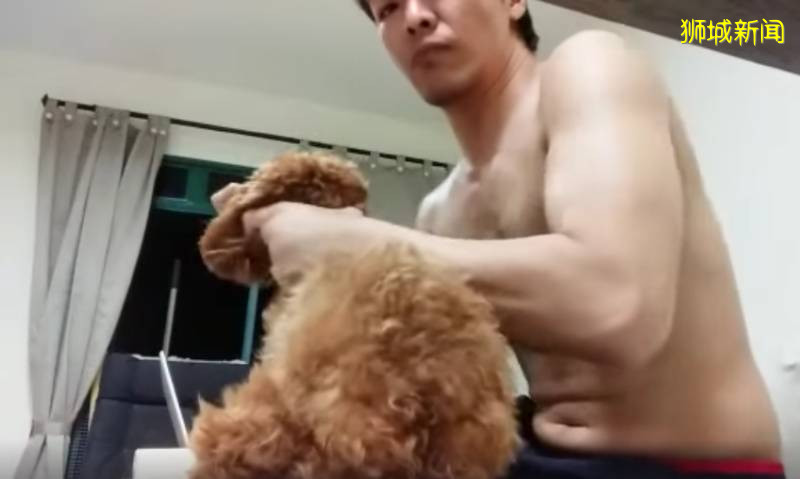 新加坡疯传的虐狗事件,主角被全网人肉!狗狗已经找到