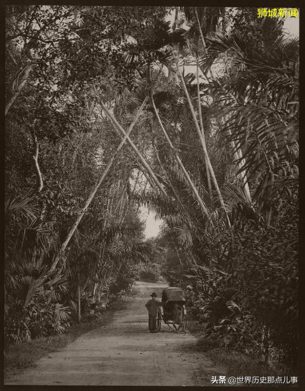 10张珍贵老照片：1890年新加坡的风土人情，你想穿越过去吗