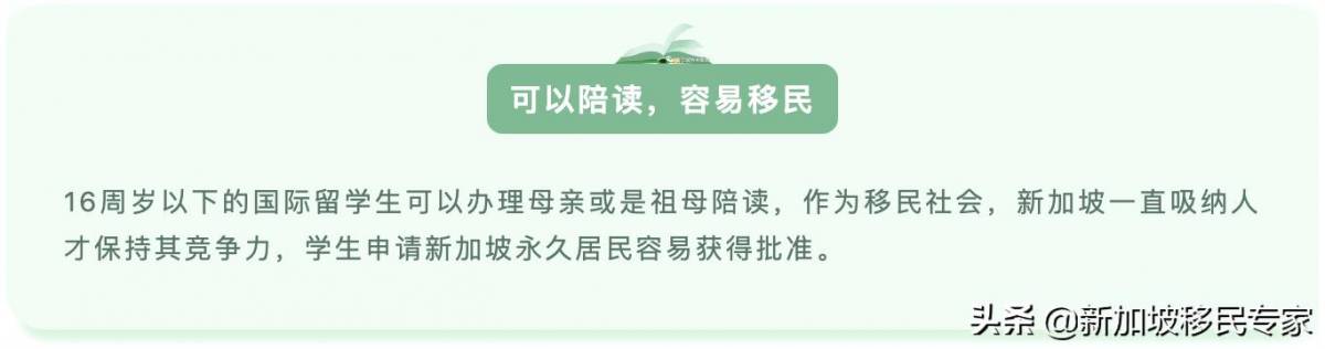 都說新加坡教育制度好，想了解新加坡入學和升學途徑的看過來