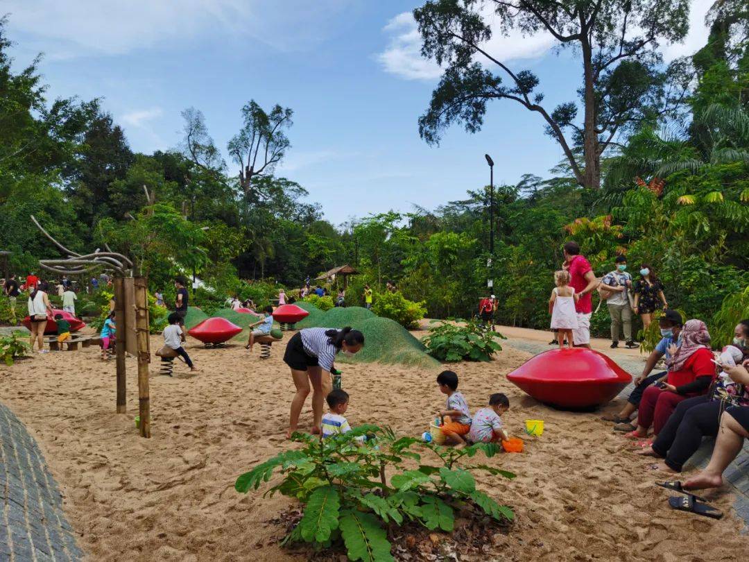 新加坡植物園爆火新景點,不知道怎麽去?手把手教你遊玩攻略