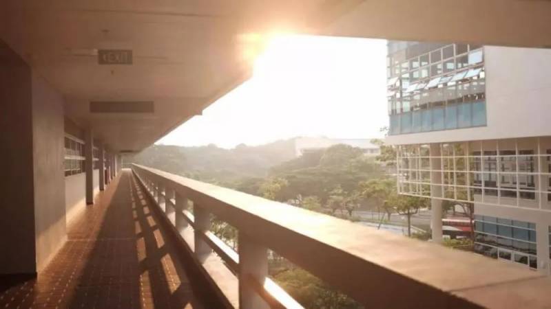 新加坡介紹！南洋理工大學