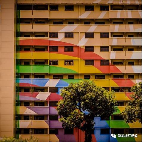 新加坡人镜头下“家的形状”是什么? 答案就在2500多张照片里