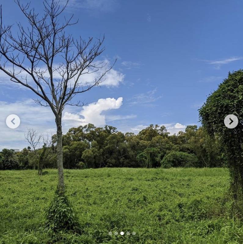 疫情過後，新加坡更讓全世界羨慕