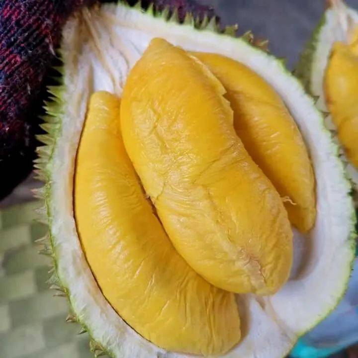 这间榴梿宝宝满足榴梿吃货的所有欲望