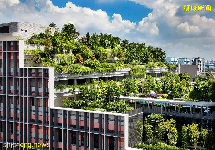 新加坡頂級設計，都在這裏