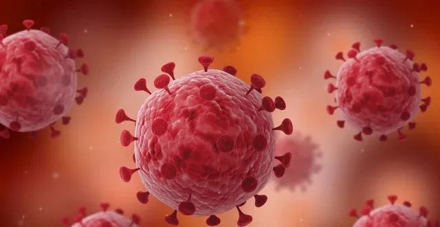 理工学院开通 “如何预防冠状病毒” 线上课程，学习刻不容缓