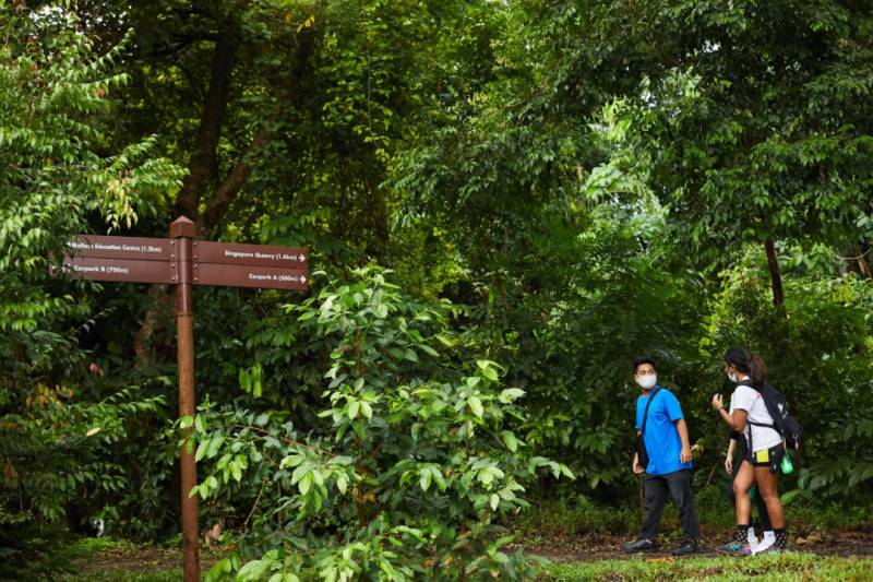 了解新加坡生物多样性,就来华莱士展览中心