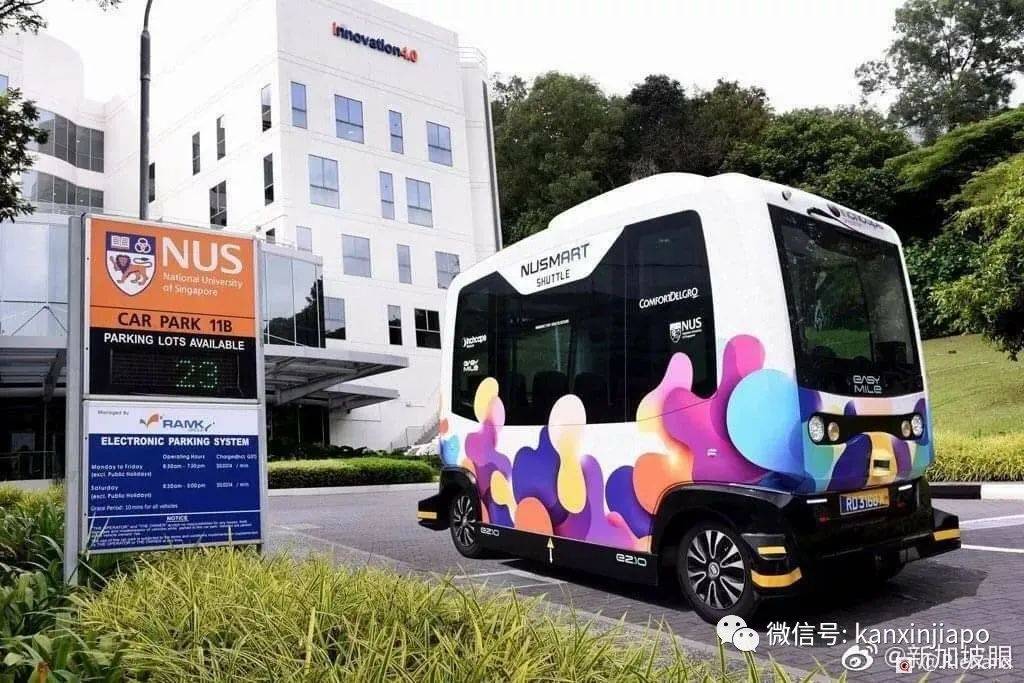 新加坡车牌颜色这么多,你认识几个