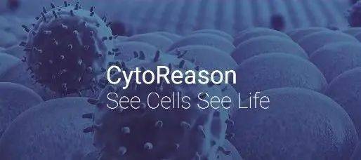 顛覆認知！NTU研究團隊發現“感染”可能的新機理