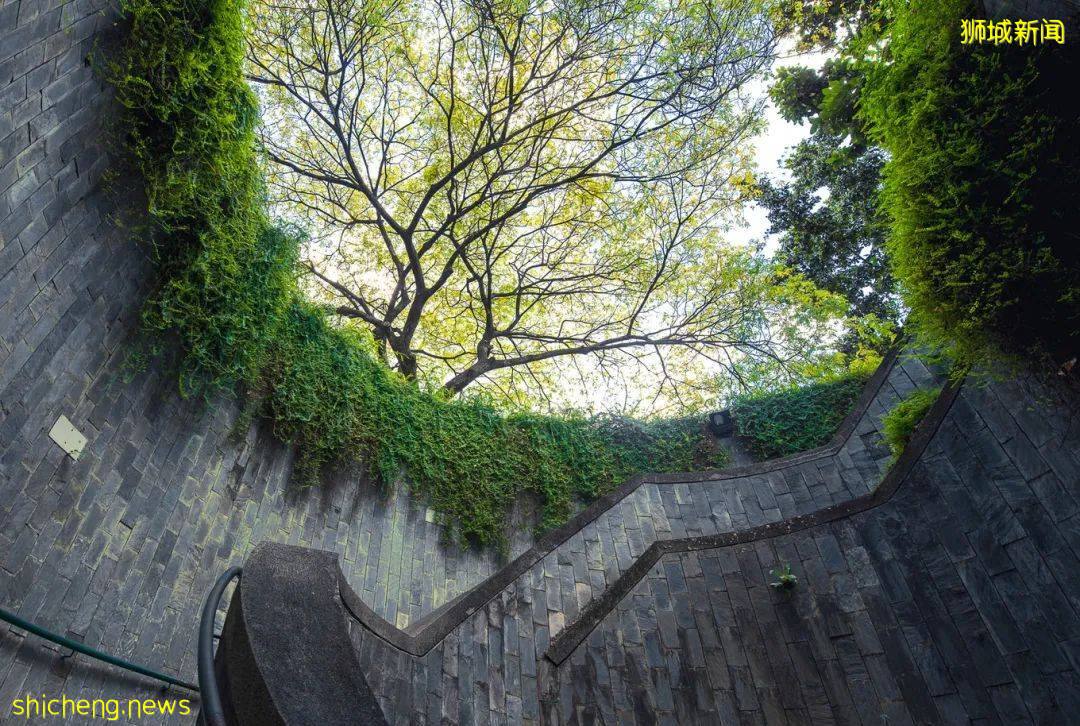 漫遊獅城 私藏打卡聖地大公開