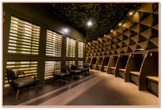 新加坡的公共圖書館